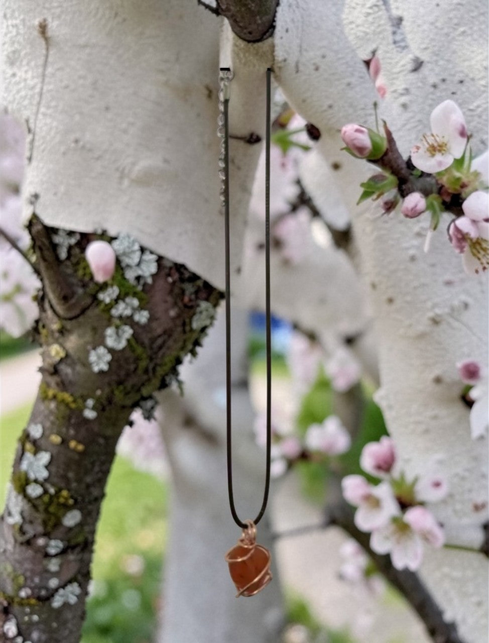 Carnelian necklace hanging on a tree branch, showcasing the natural orange gemstone in a beautiful outdoor setting.